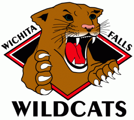 Wichita Falls Wildcats 2004 05-2008 09 primary logo iron on heat transfer